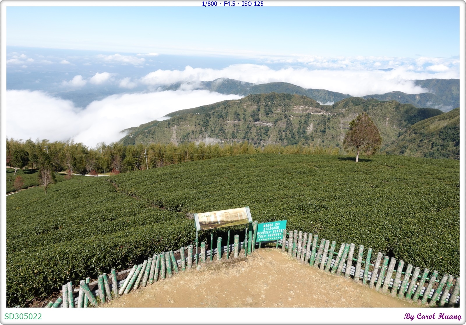 【旅拍】250202-ZR3600+RX100M5A「雲林古