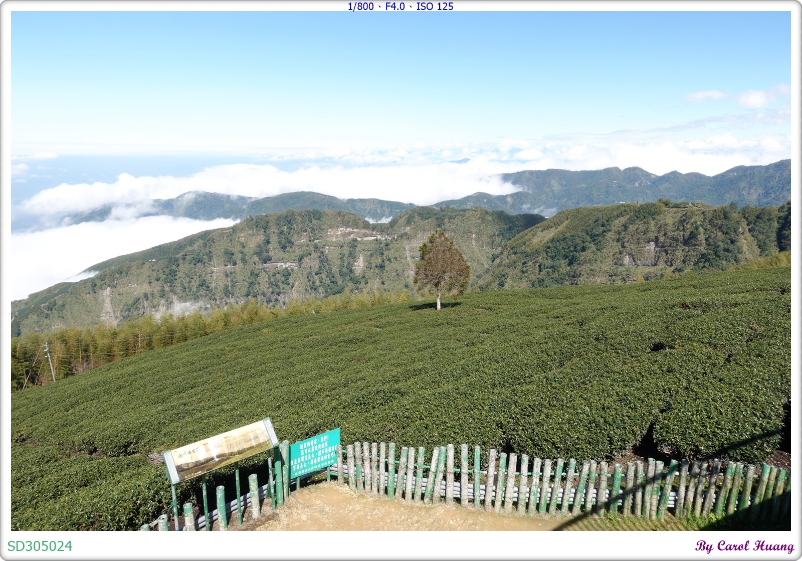 【旅拍】250202-ZR3600+RX100M5A「雲林古