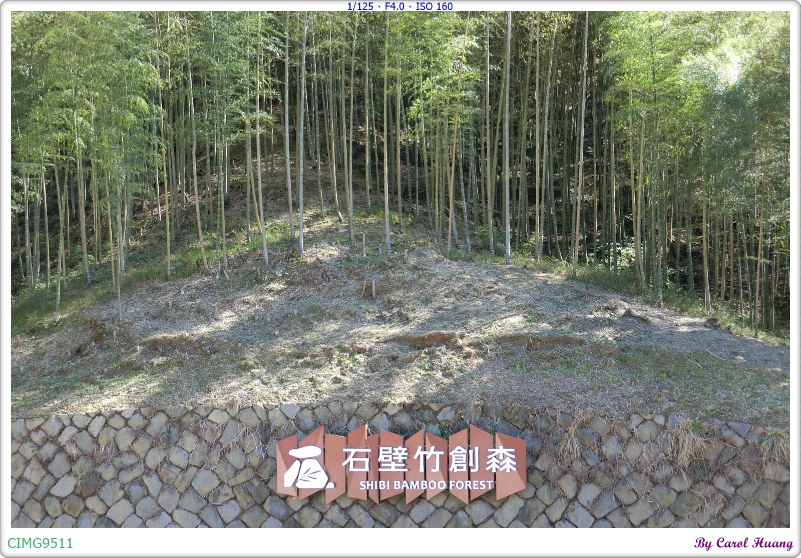 【旅拍】250202-ZR3600「雲林古坑～五元兩角」