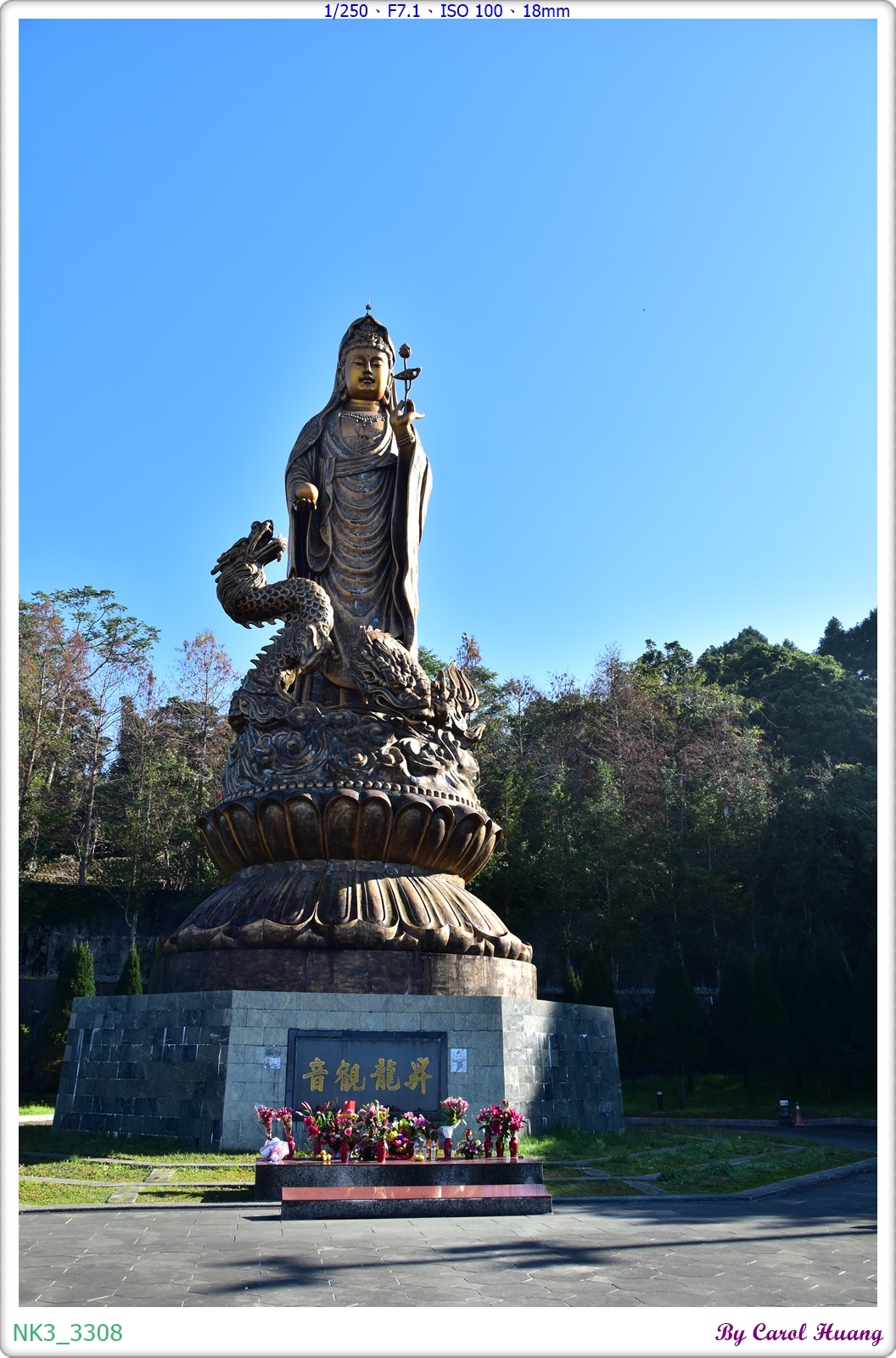 【旅拍】250216-D5600+SIGMA 18-200 