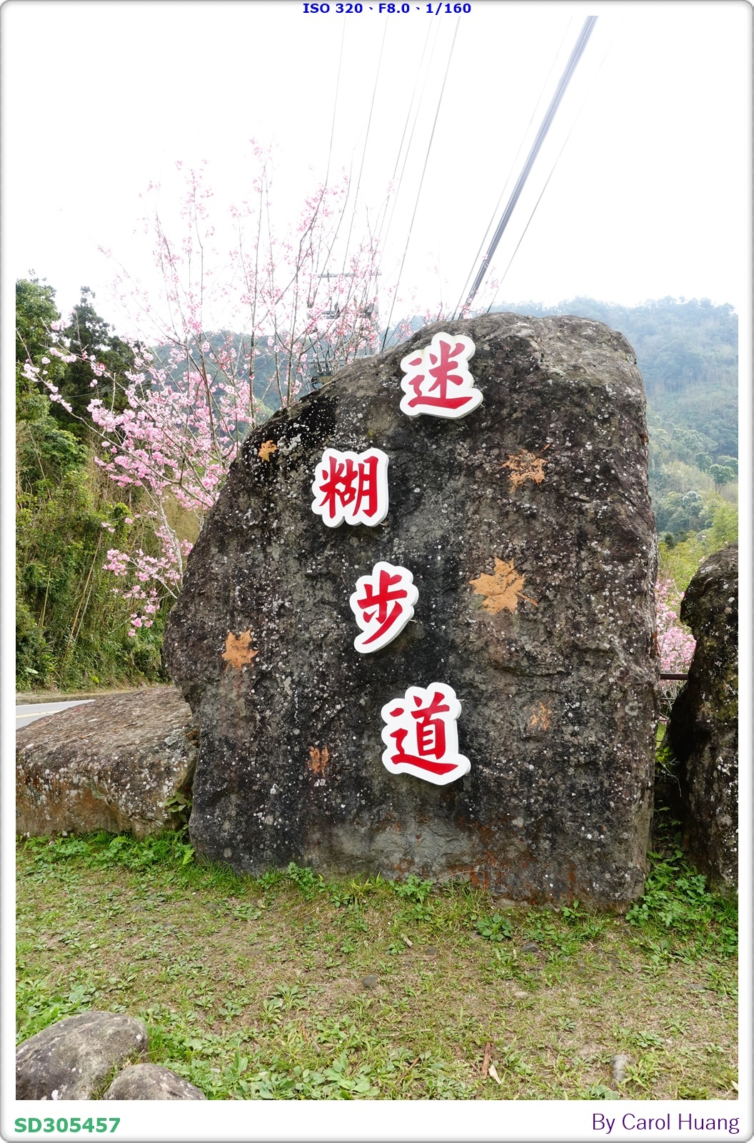 【旅拍】250223-D5600+SIGMA 18-200 