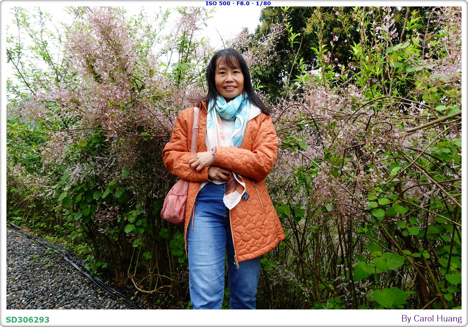 【旅拍】250318-RX100M5A「南投中寮～粉紅山丘麝