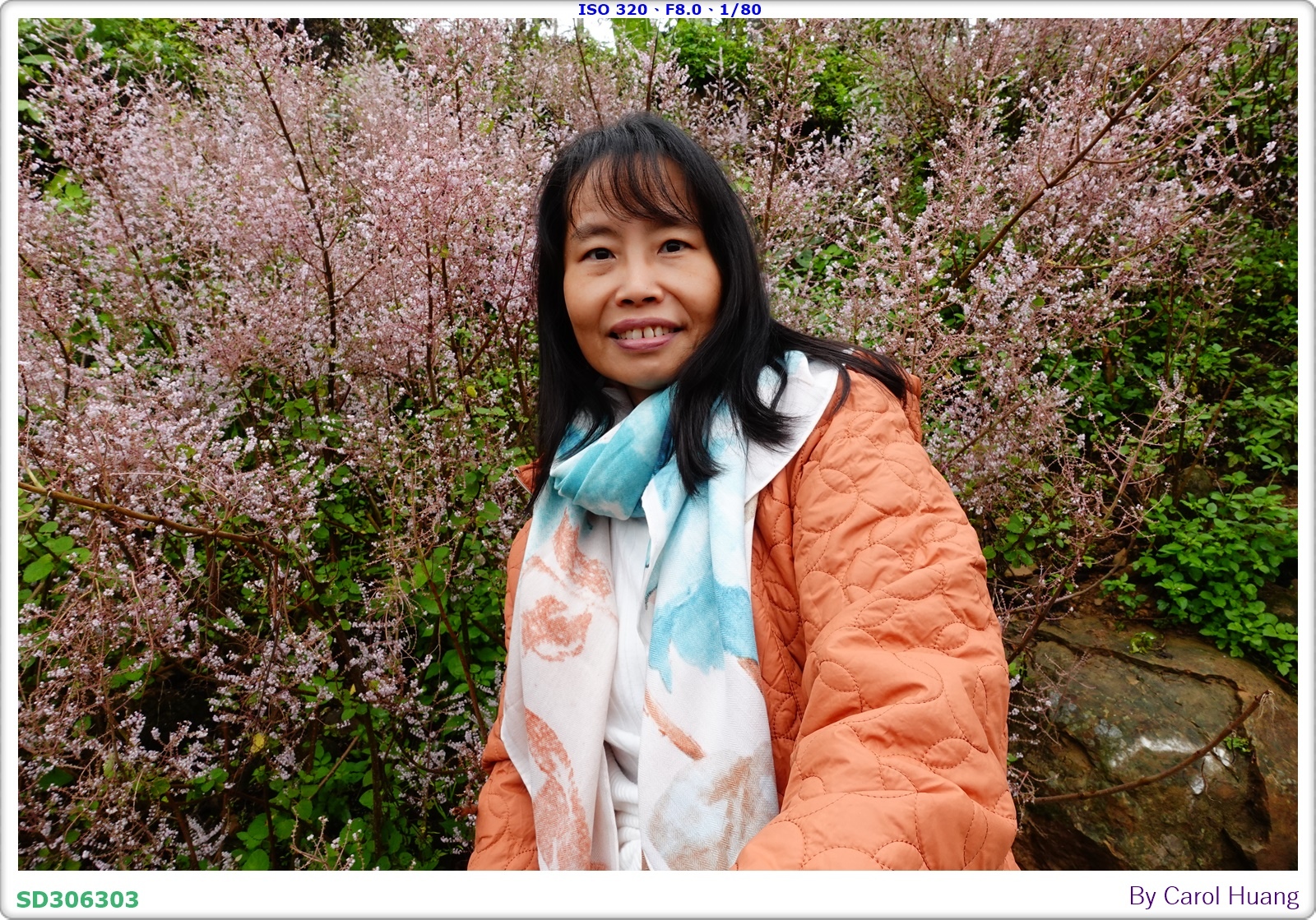 【旅拍】250318-RX100M5A「南投中寮～粉紅山丘麝