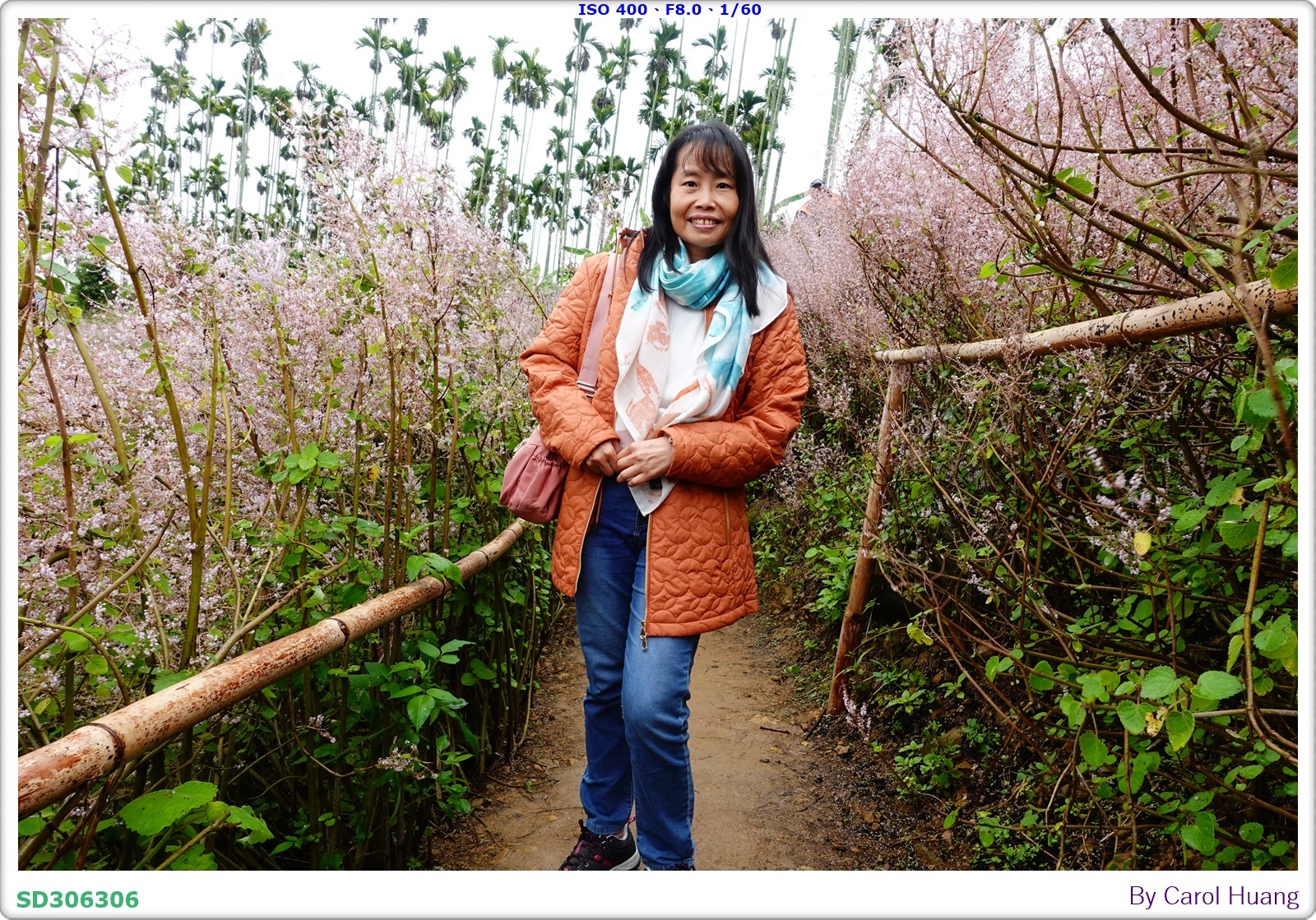 【旅拍】250318-RX100M5A「南投中寮～粉紅山丘麝