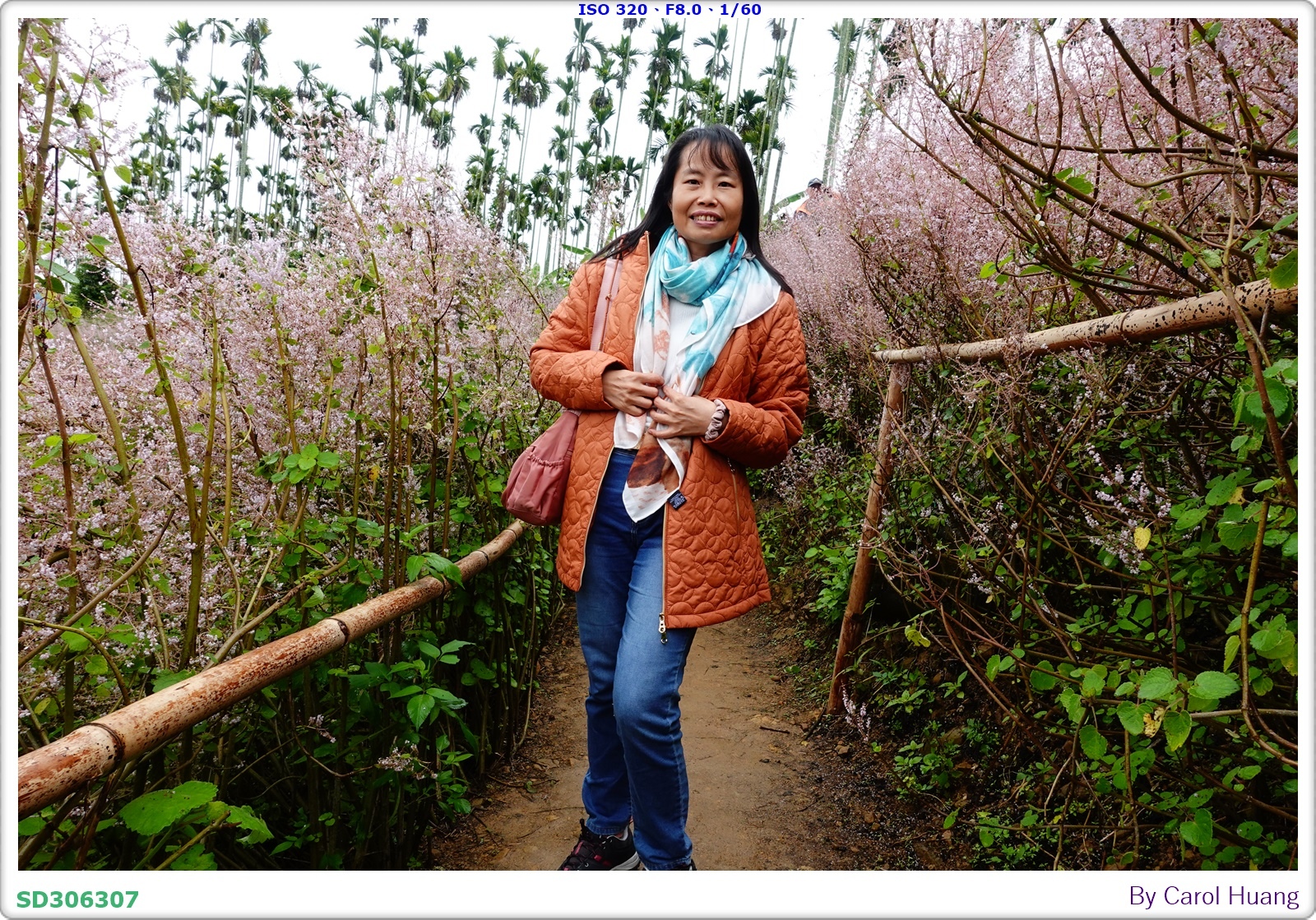 【旅拍】250318-RX100M5A「南投中寮～粉紅山丘麝