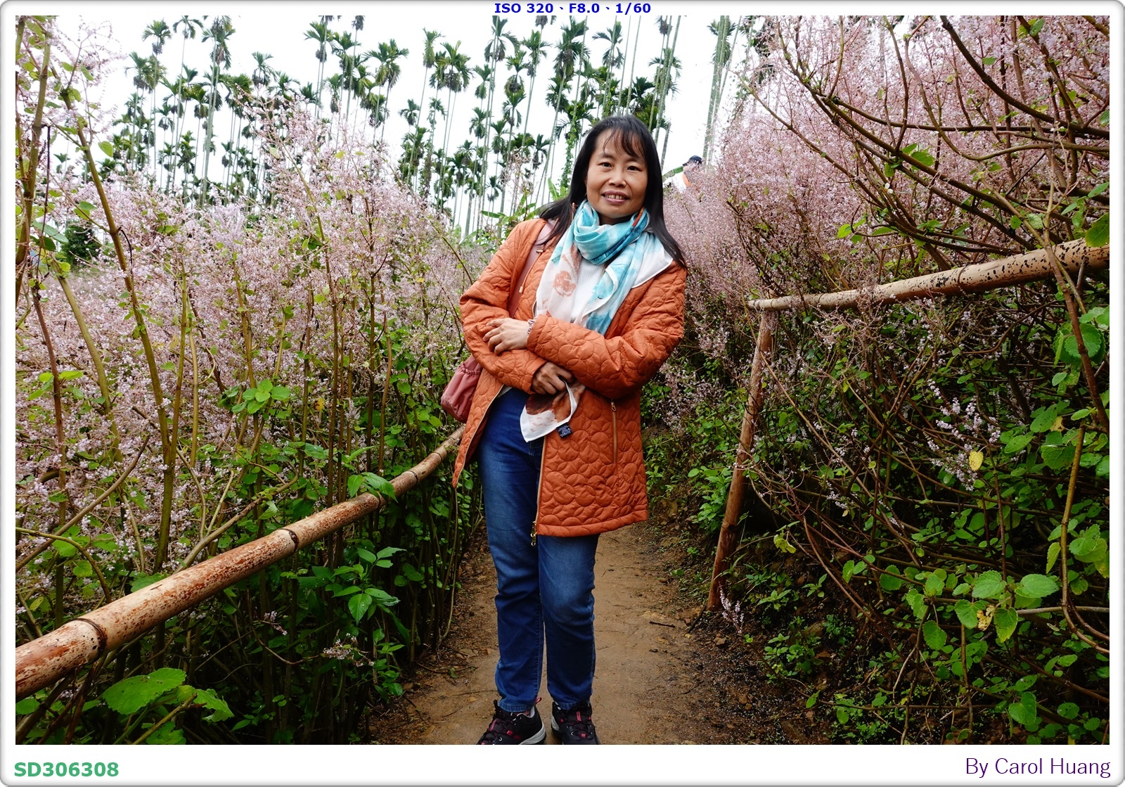【旅拍】250318-RX100M5A「南投中寮～粉紅山丘麝