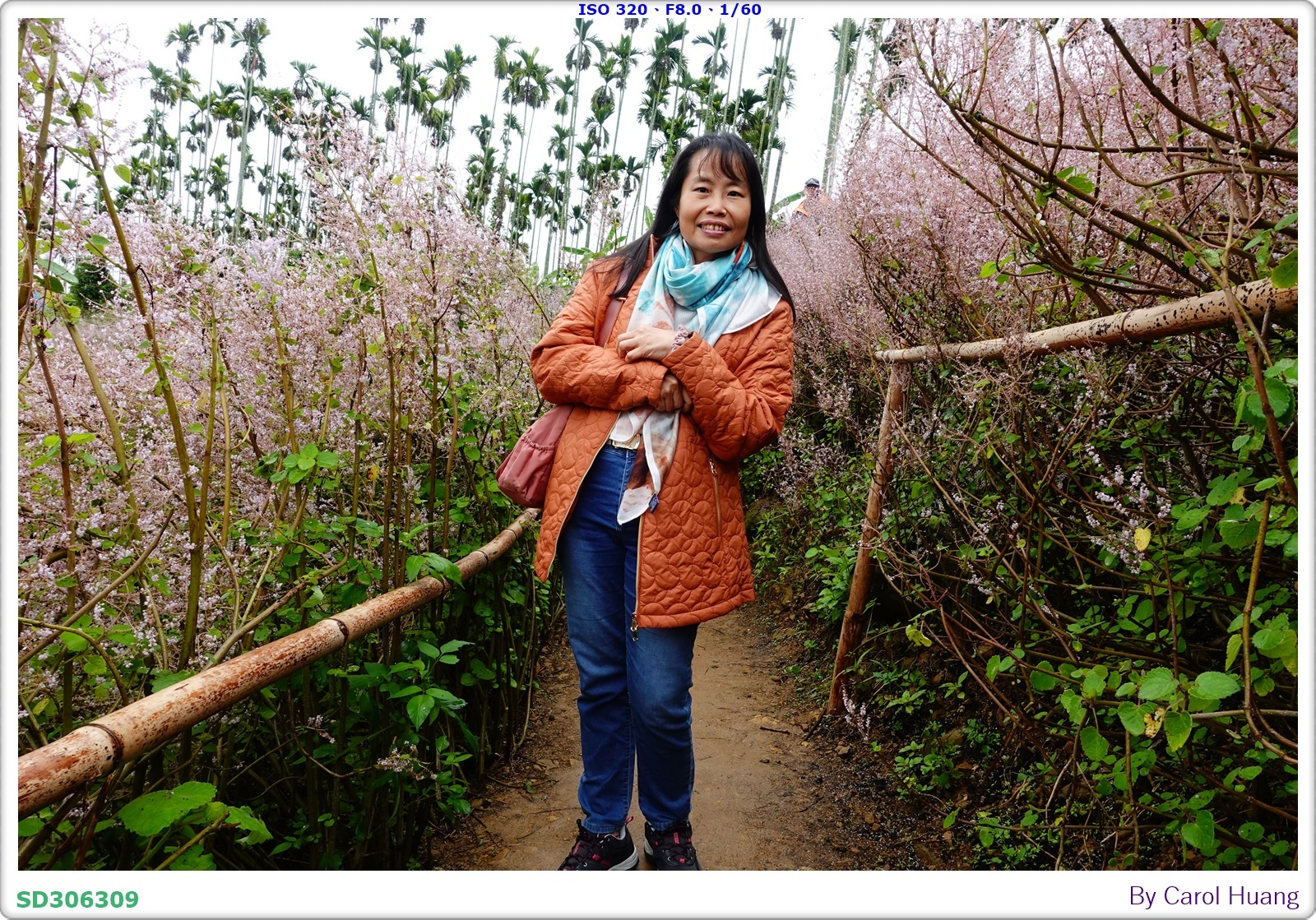 【旅拍】250318-RX100M5A「南投中寮～粉紅山丘麝