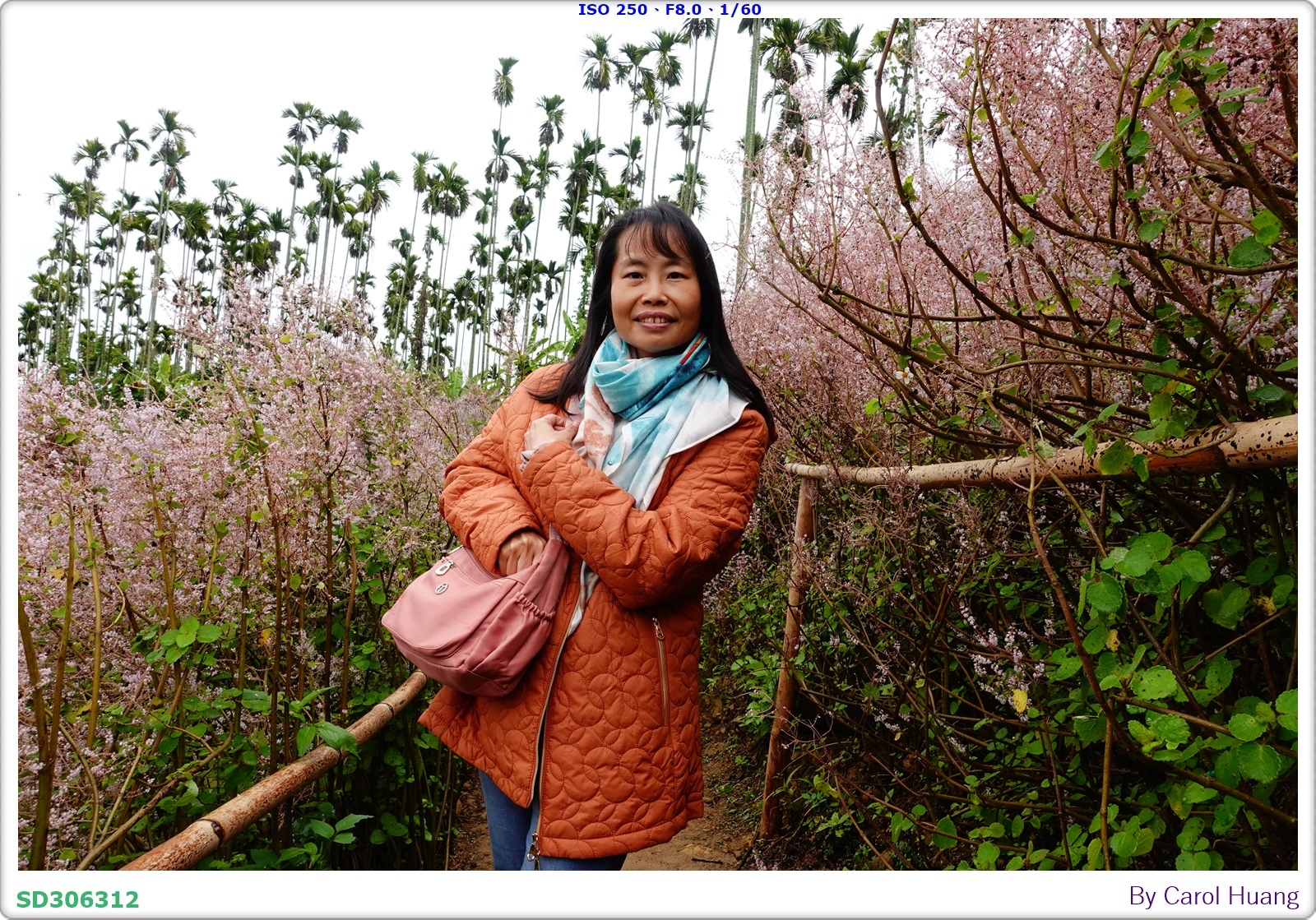 【旅拍】250318-RX100M5A「南投中寮～粉紅山丘麝