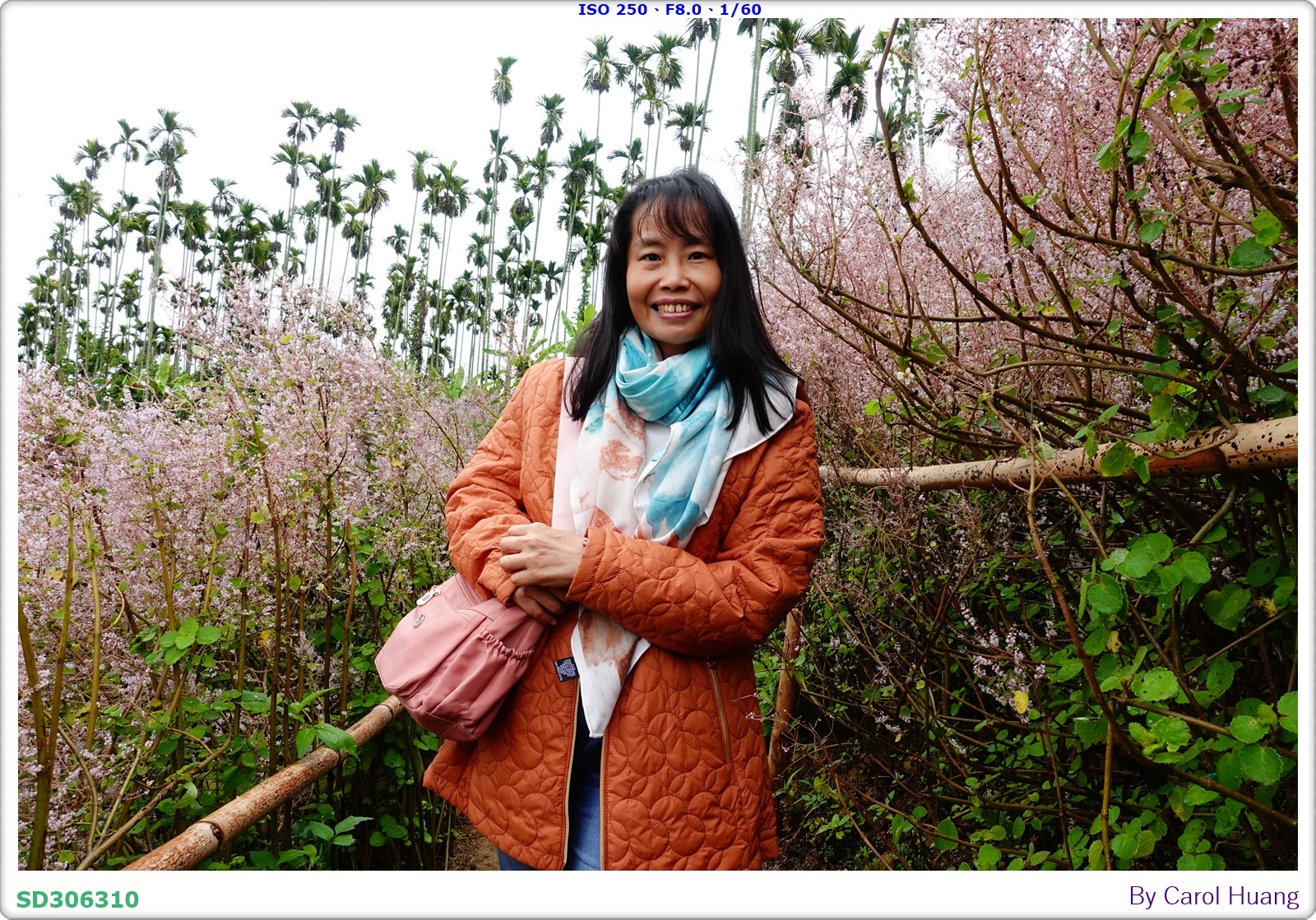 【旅拍】250318-RX100M5A「南投中寮～粉紅山丘麝