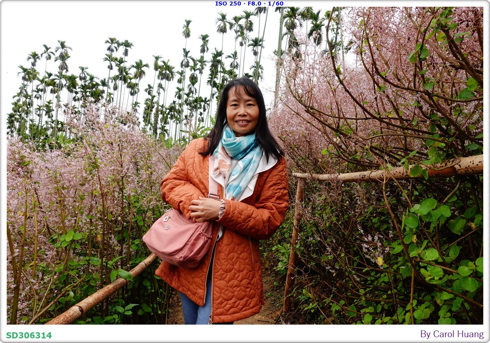 【旅拍】250318-RX100M5A「南投中寮～粉紅山丘麝