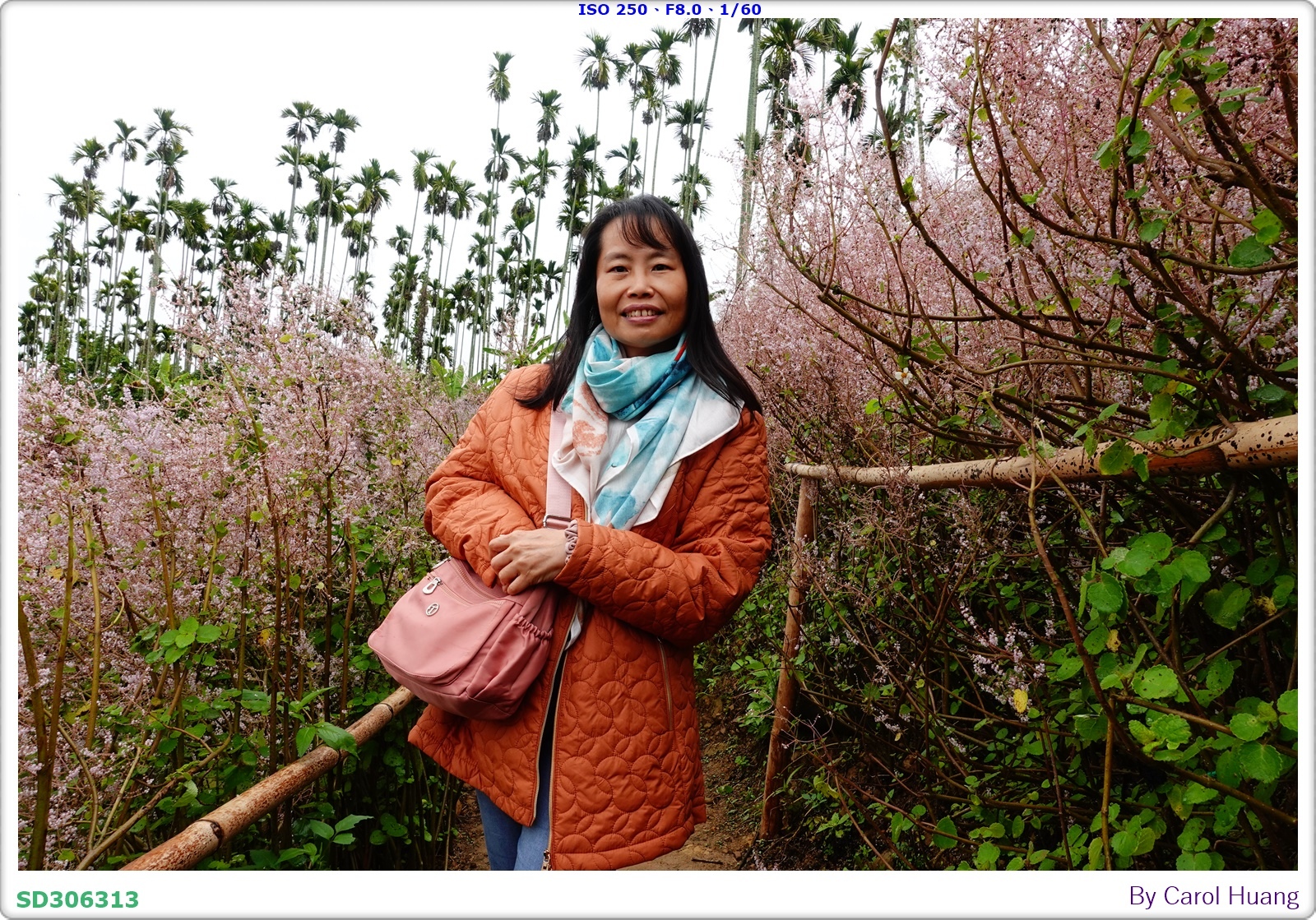 【旅拍】250318-RX100M5A「南投中寮～粉紅山丘麝