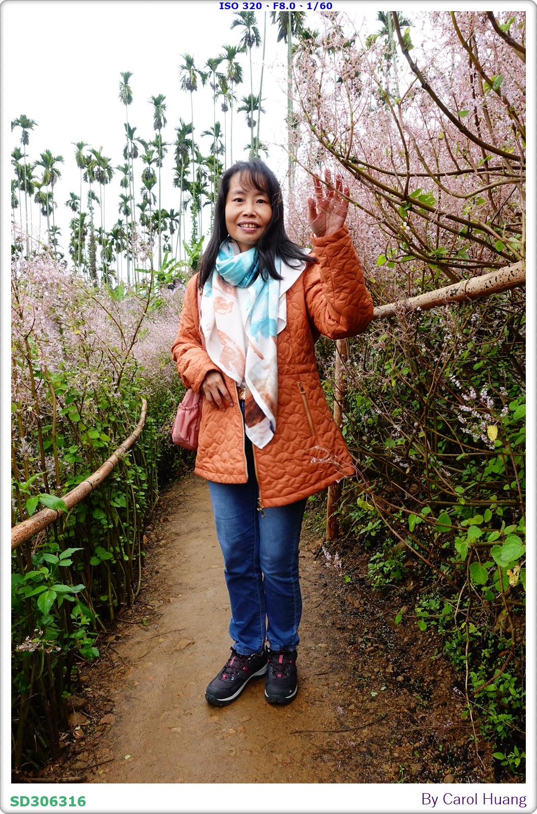 【旅拍】250318-RX100M5A「南投中寮～粉紅山丘麝