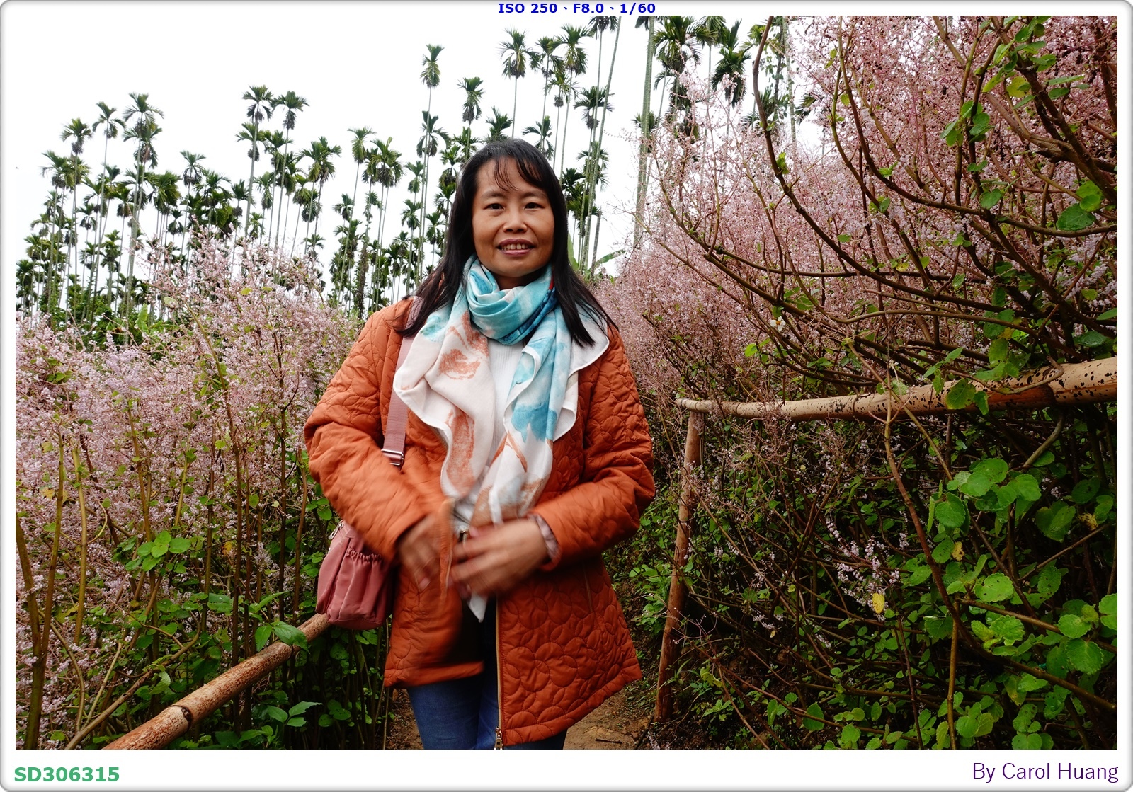 【旅拍】250318-RX100M5A「南投中寮～粉紅山丘麝