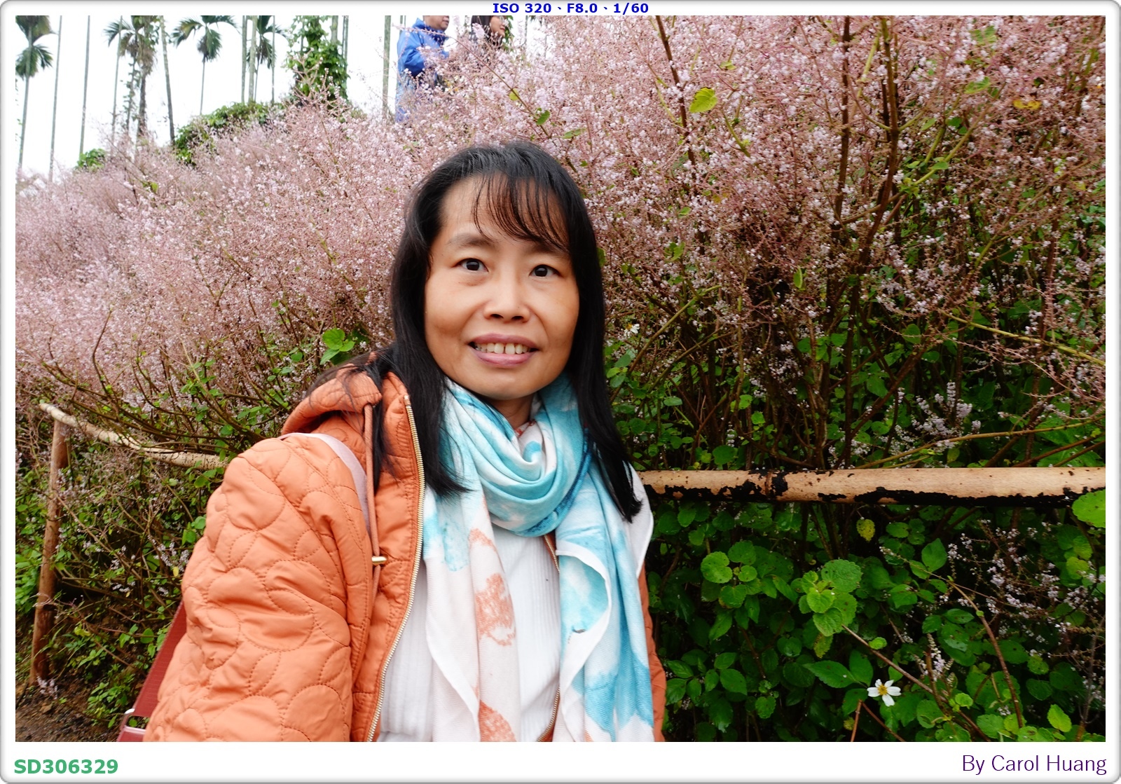 【旅拍】250318-RX100M5A「南投中寮～粉紅山丘麝