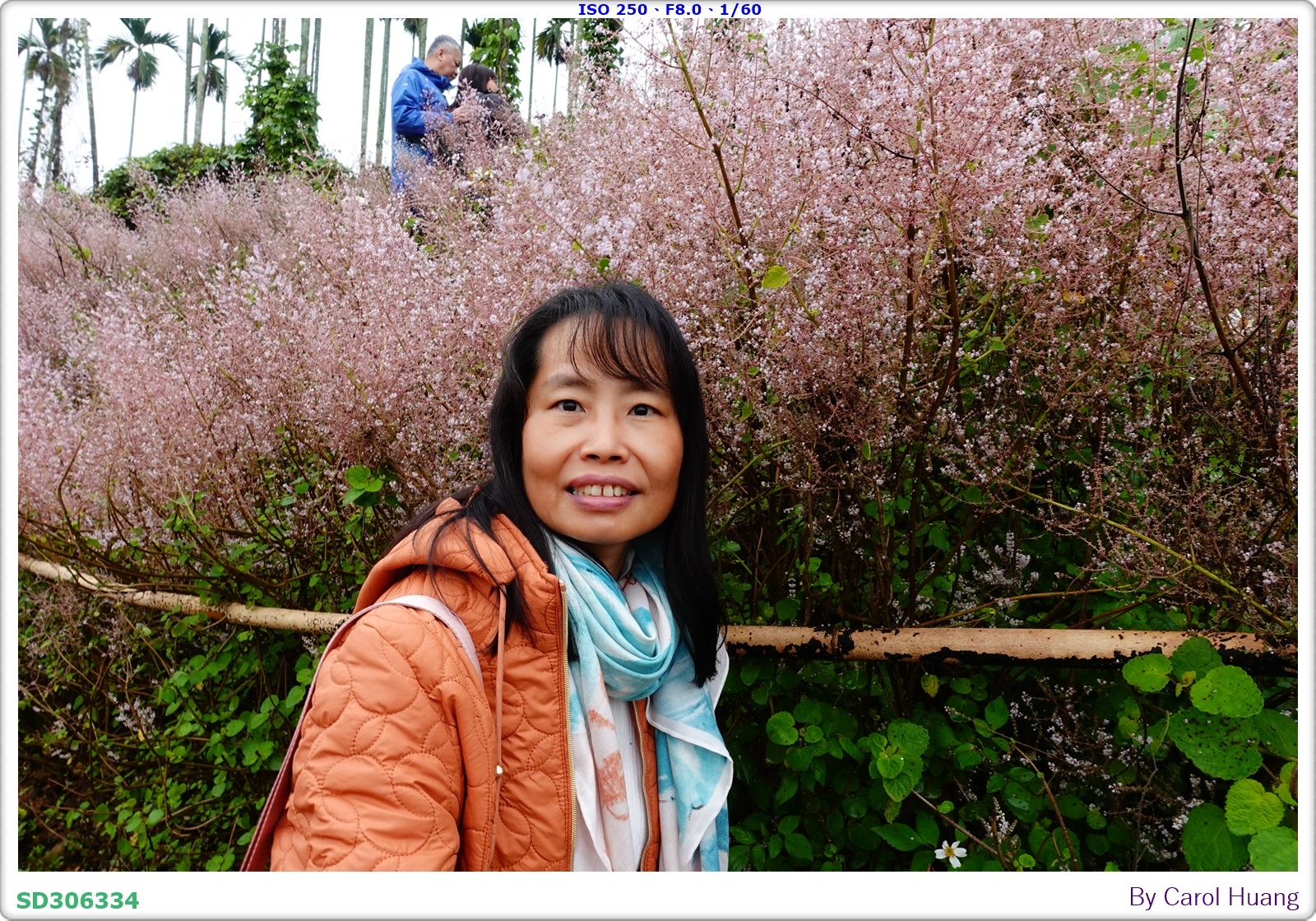 【旅拍】250318-RX100M5A「南投中寮～粉紅山丘麝