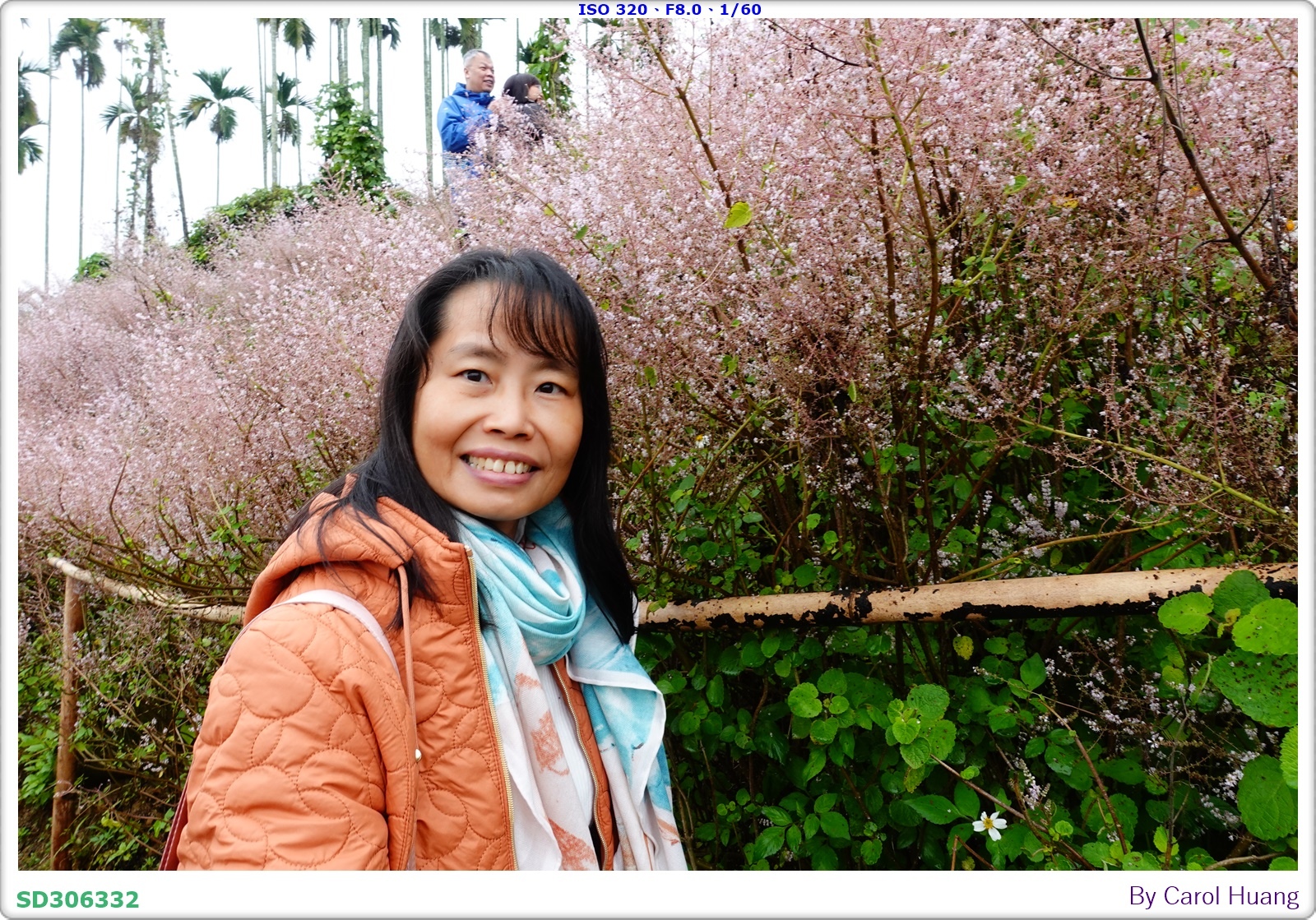【旅拍】250318-RX100M5A「南投中寮～粉紅山丘麝