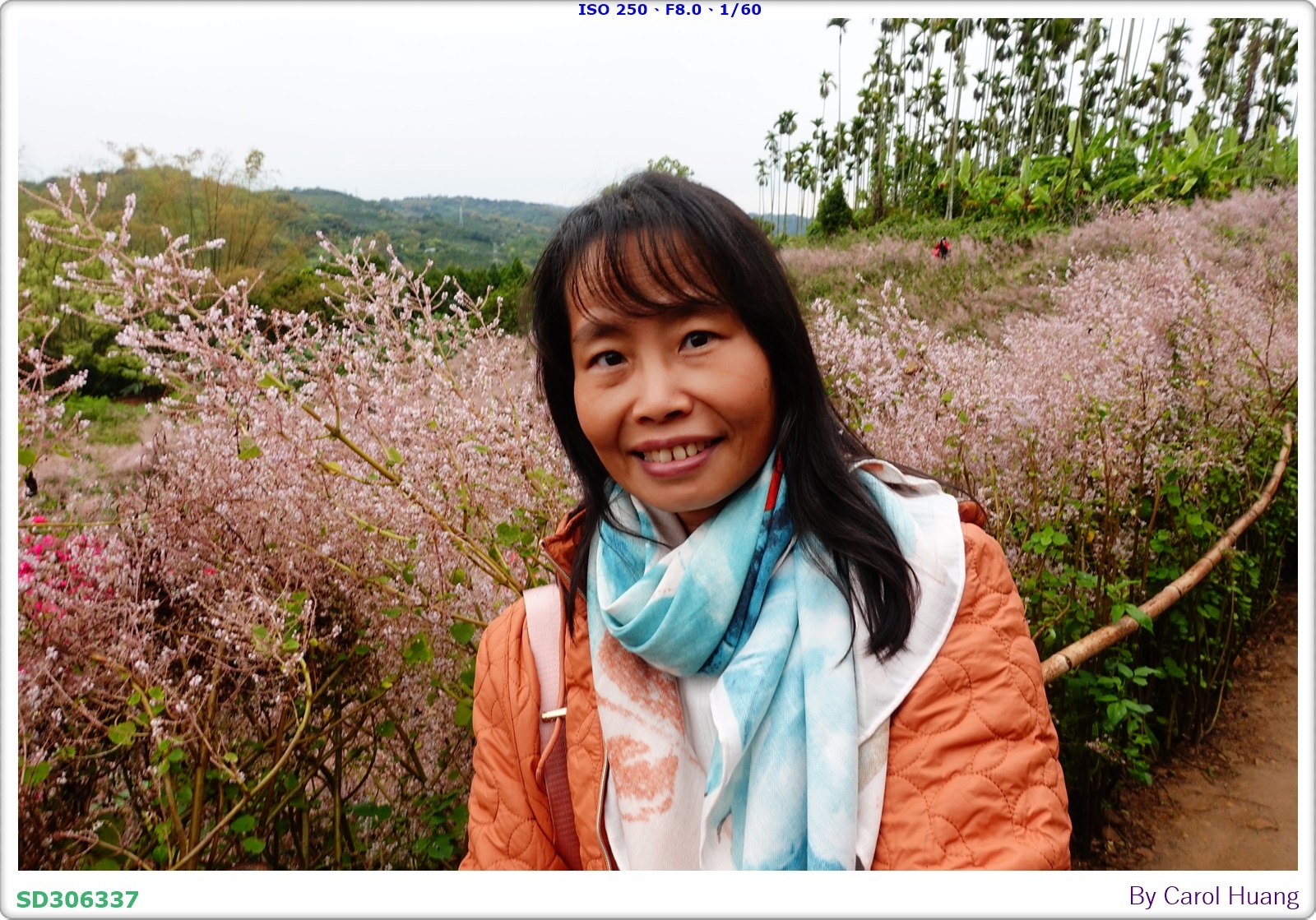 【旅拍】250318-RX100M5A「南投中寮～粉紅山丘麝