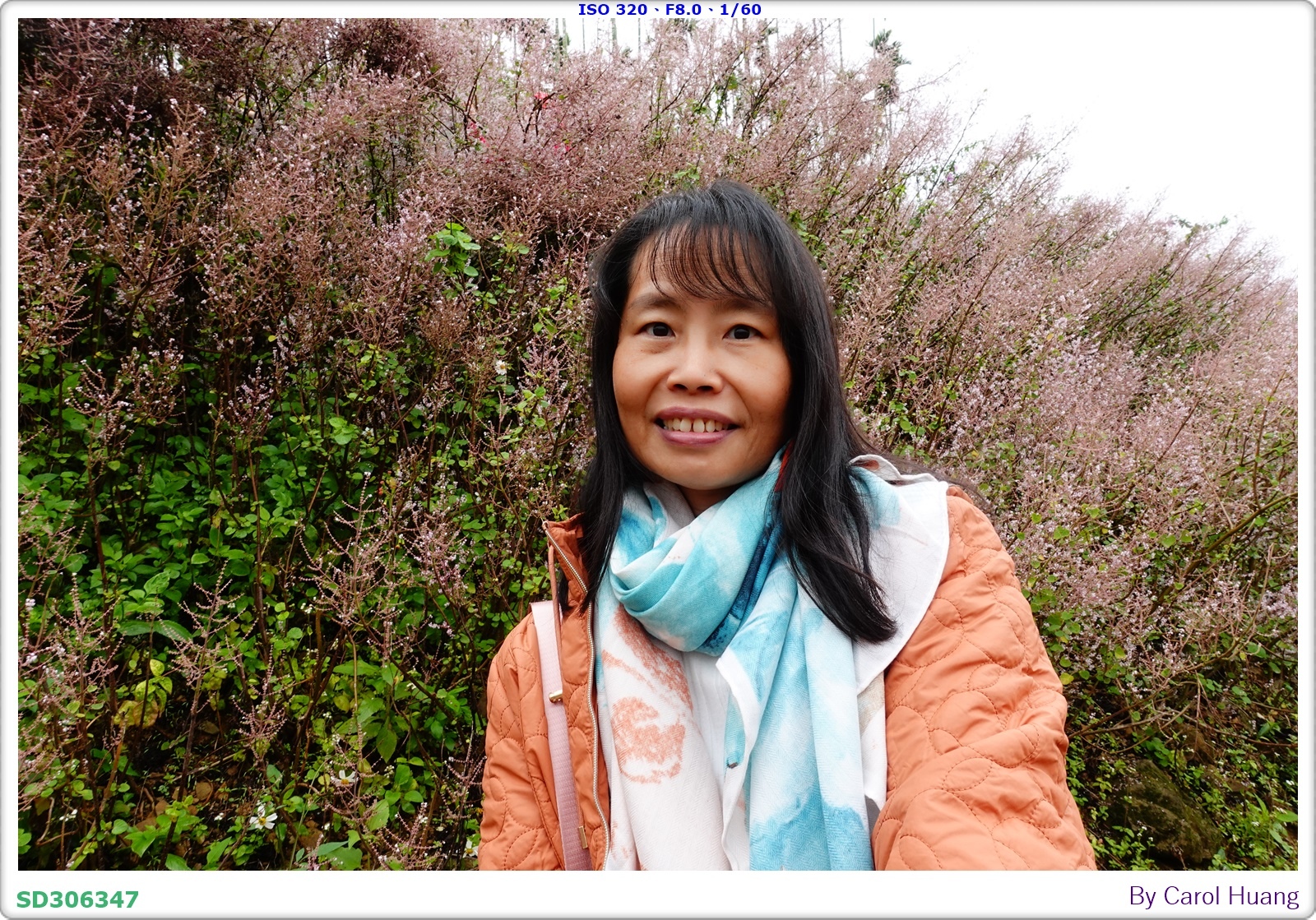 【旅拍】250318-RX100M5A「南投中寮～粉紅山丘麝