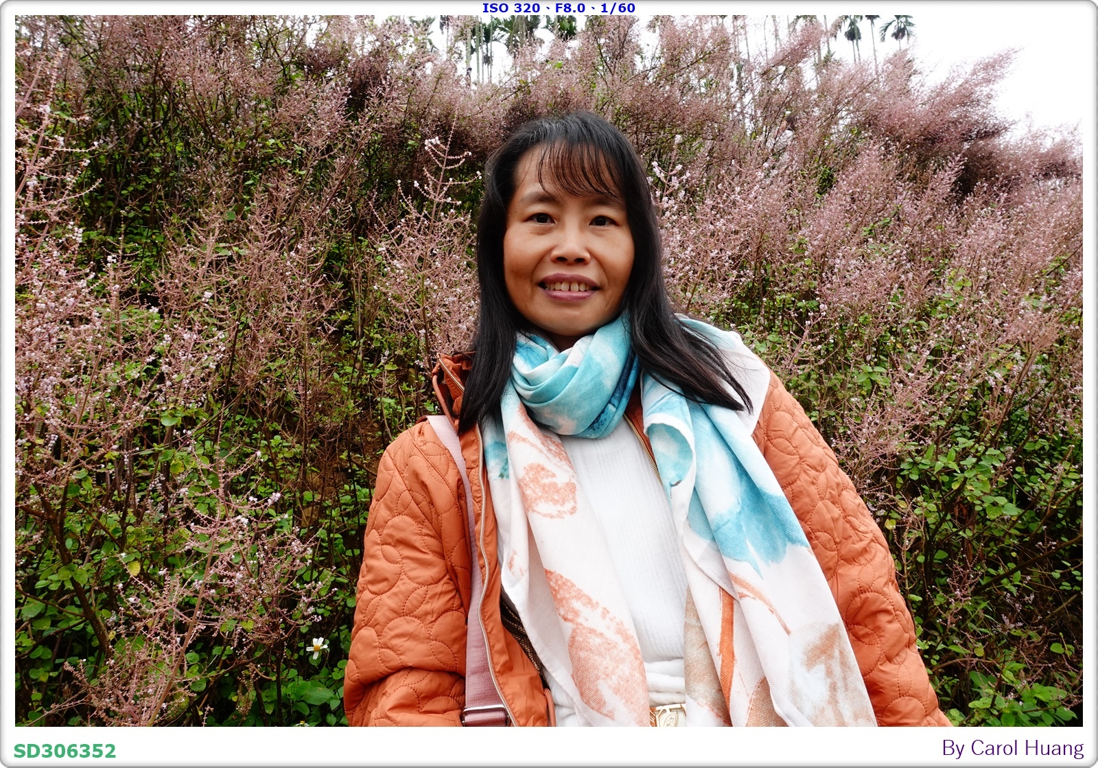 【旅拍】250318-RX100M5A「南投中寮～粉紅山丘麝