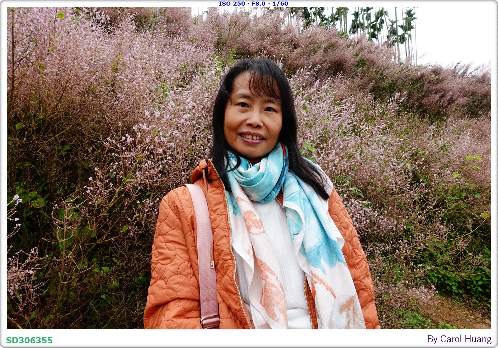 【旅拍】250318-RX100M5A「南投中寮～粉紅山丘麝