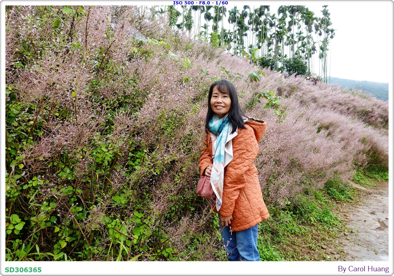 【旅拍】250318-RX100M5A「南投中寮～粉紅山丘麝