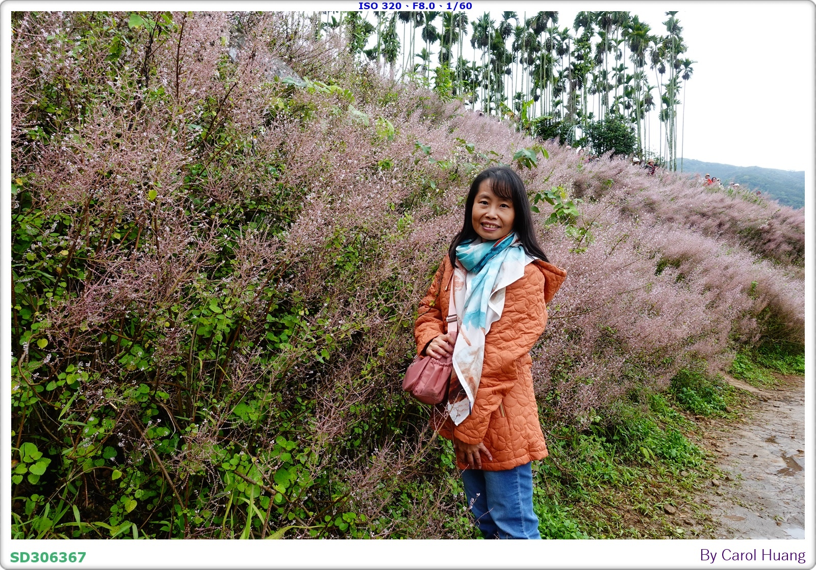 【旅拍】250318-RX100M5A「南投中寮～粉紅山丘麝