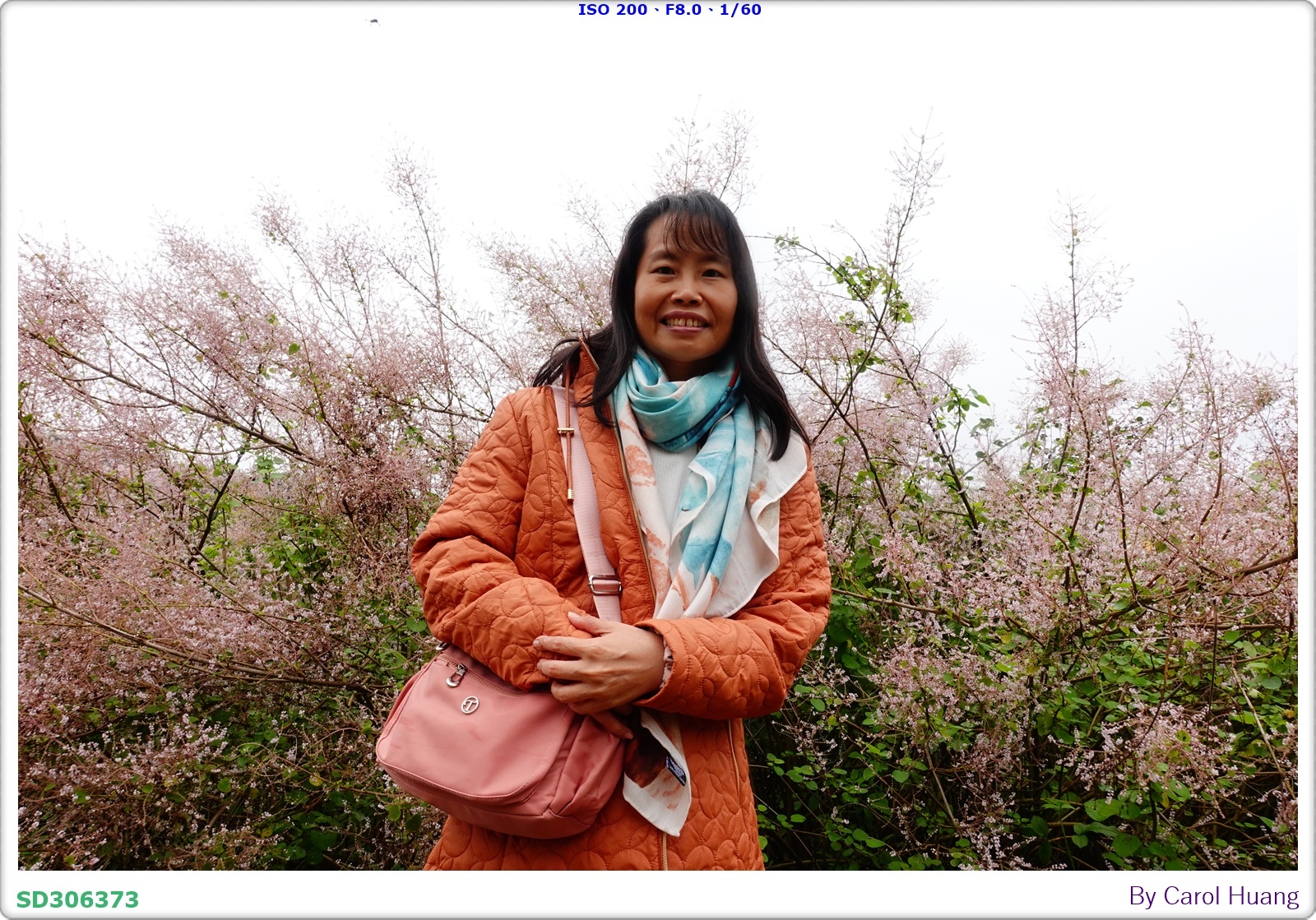 【旅拍】250318-RX100M5A「南投中寮～粉紅山丘麝
