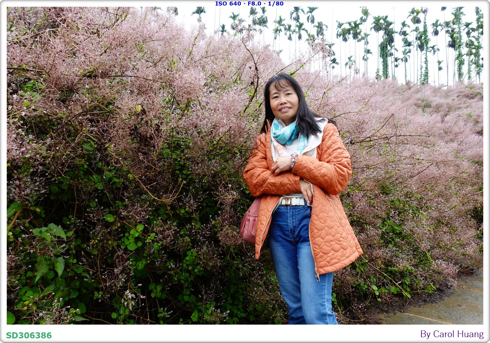 【旅拍】250318-RX100M5A「南投中寮～粉紅山丘麝