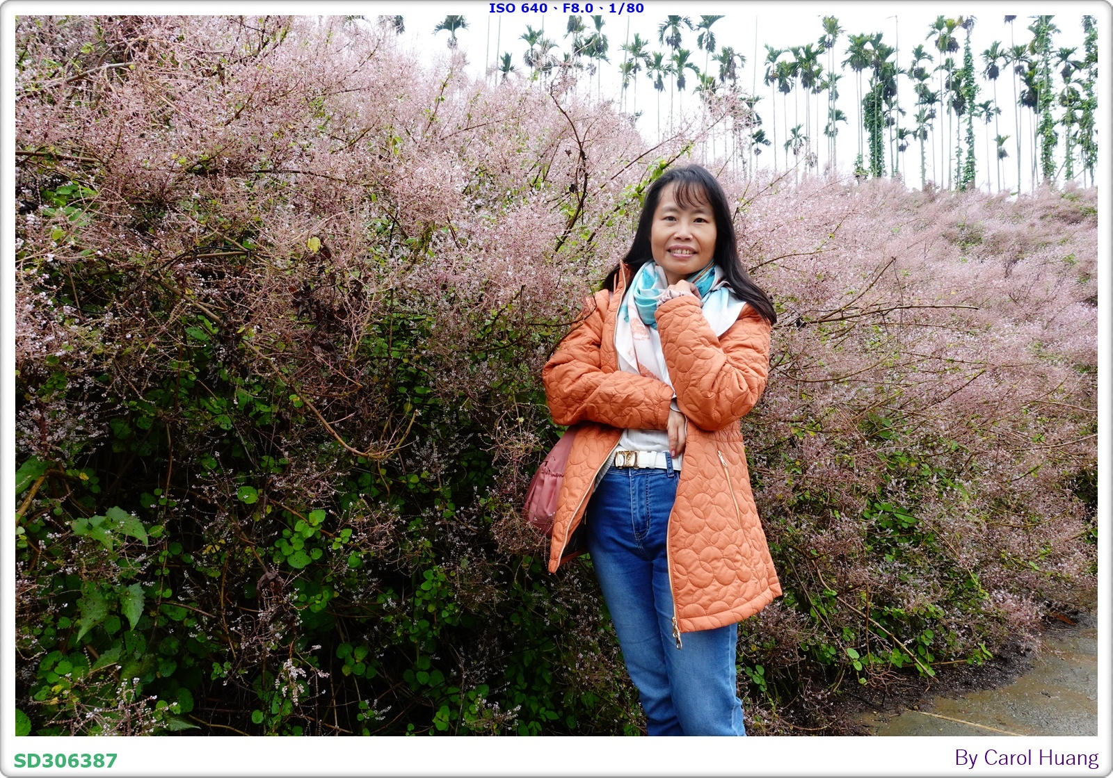【旅拍】250318-RX100M5A「南投中寮～粉紅山丘麝