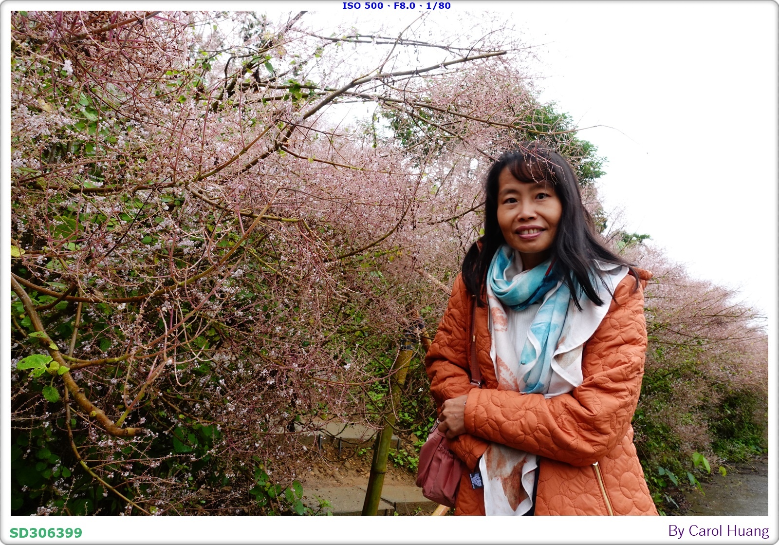 【旅拍】250318-RX100M5A「南投中寮～粉紅山丘麝
