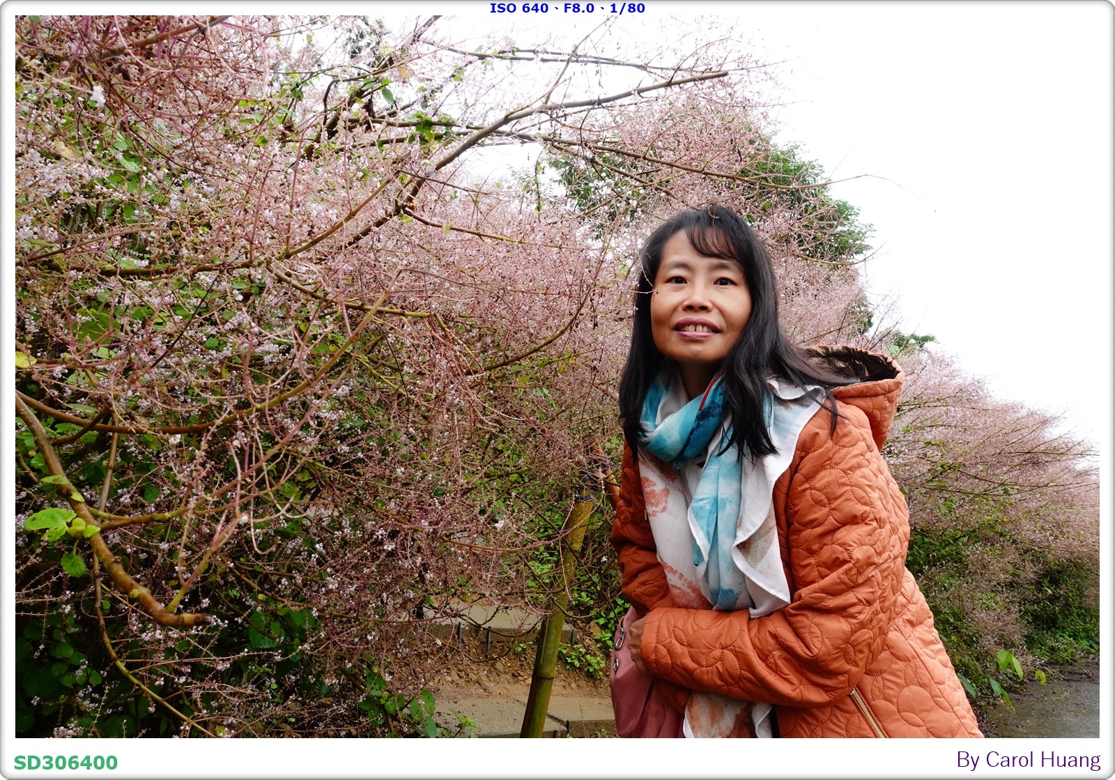 【旅拍】250318-RX100M5A「南投中寮～粉紅山丘麝