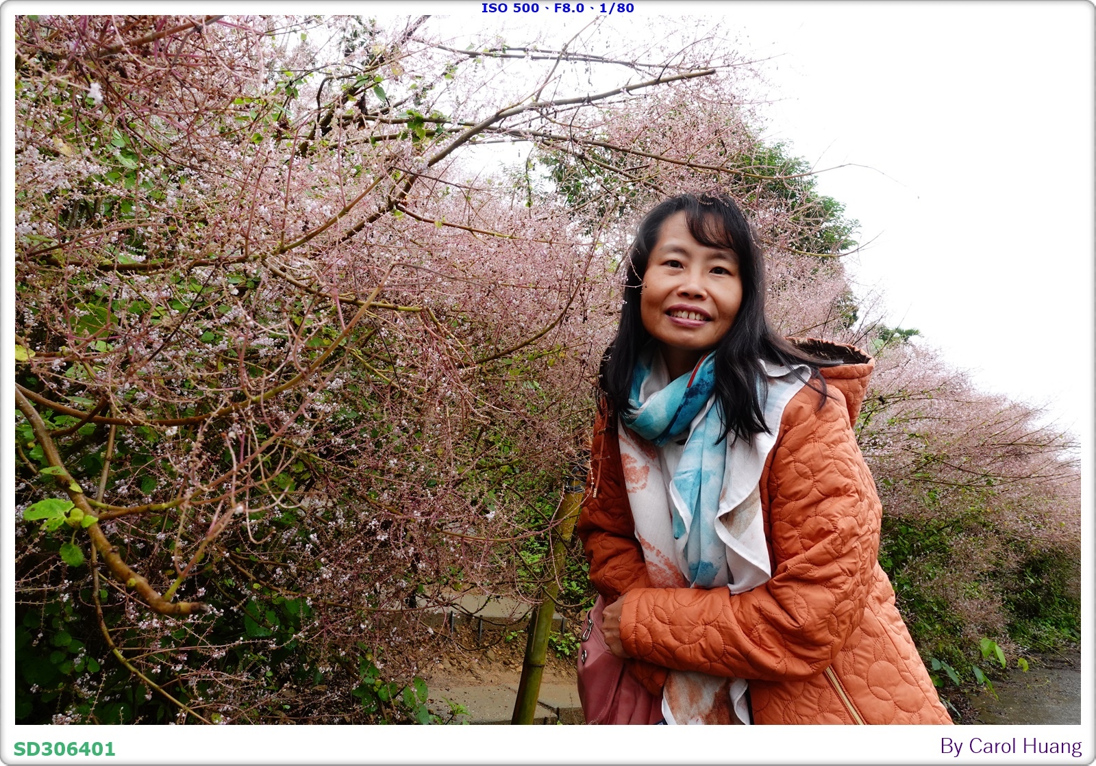 【旅拍】250318-RX100M5A「南投中寮～粉紅山丘麝