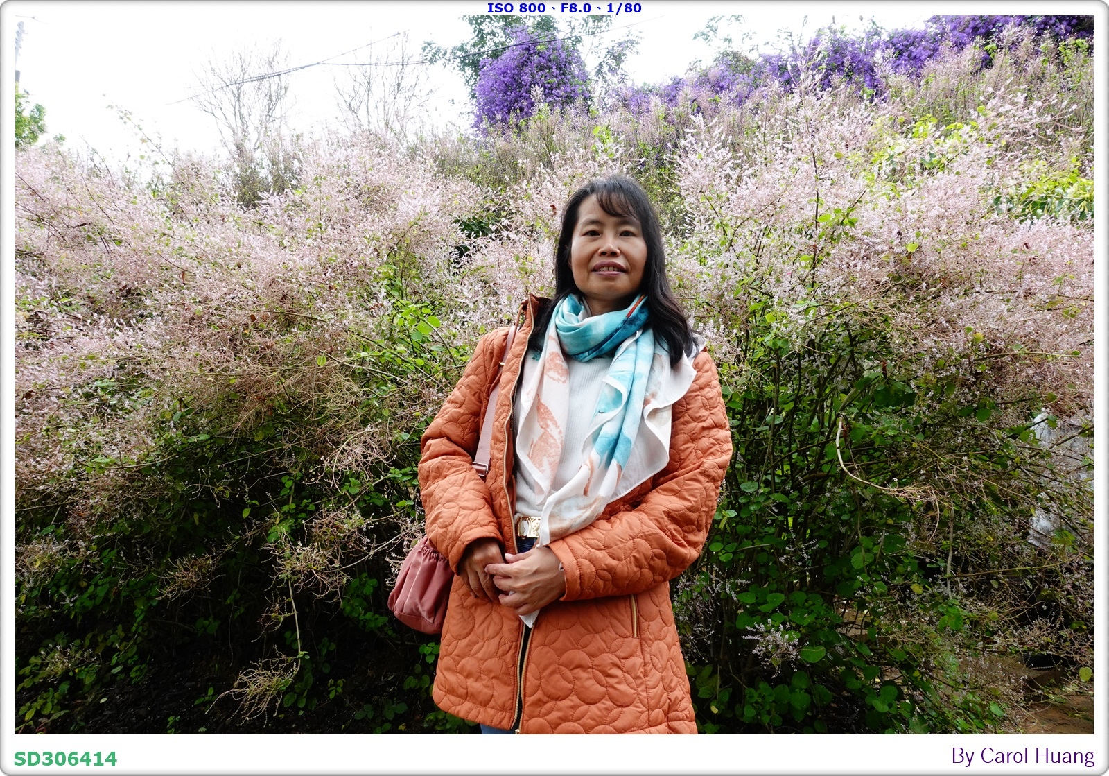 【旅拍】250318-RX100M5A「南投中寮～粉紅山丘麝
