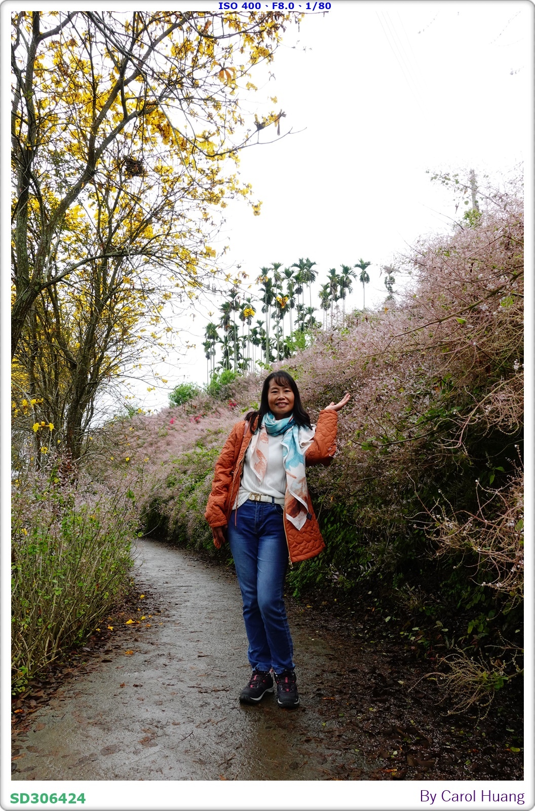 【旅拍】250318-RX100M5A「南投中寮～粉紅山丘麝