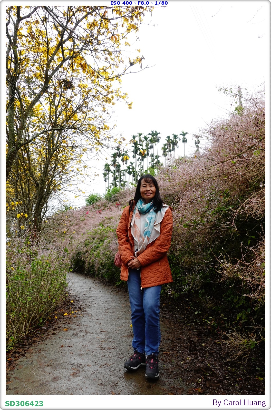 【旅拍】250318-RX100M5A「南投中寮～粉紅山丘麝