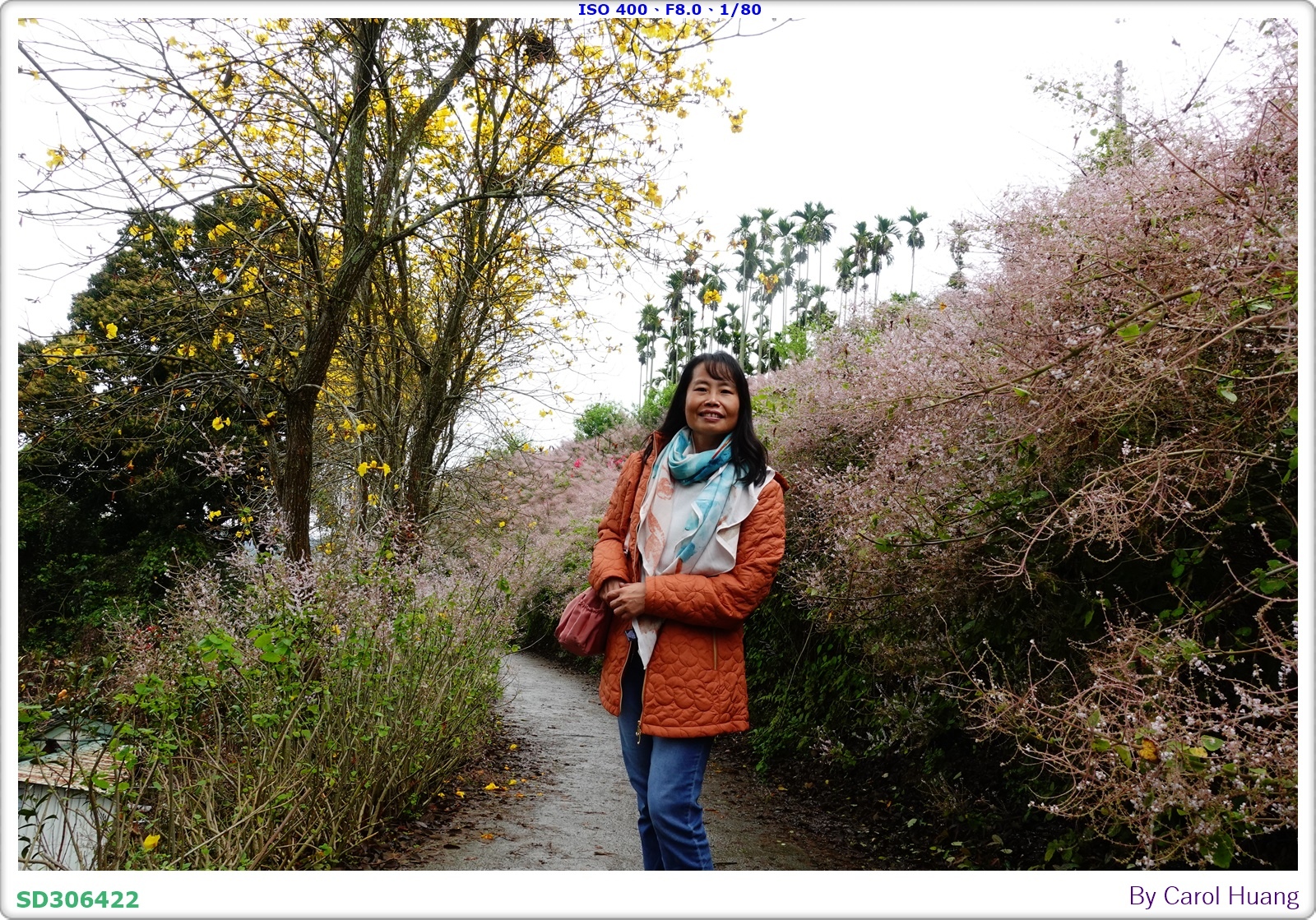 【旅拍】250318-RX100M5A「南投中寮～粉紅山丘麝