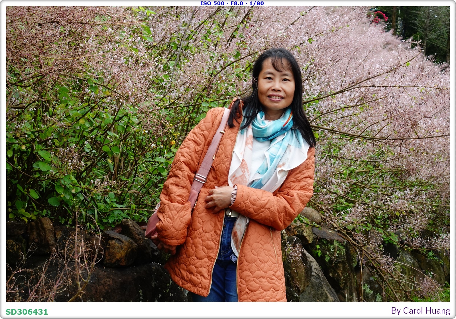 【旅拍】250318-RX100M5A「南投中寮～粉紅山丘麝