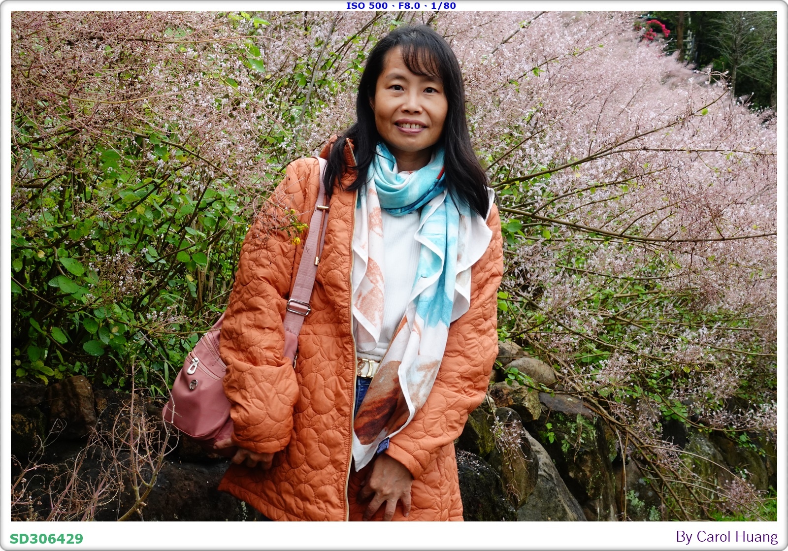 【旅拍】250318-RX100M5A「南投中寮～粉紅山丘麝