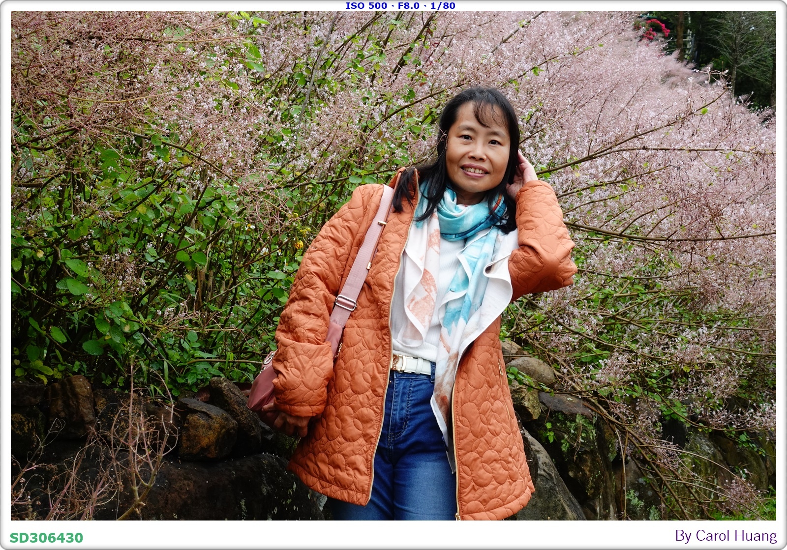【旅拍】250318-RX100M5A「南投中寮～粉紅山丘麝