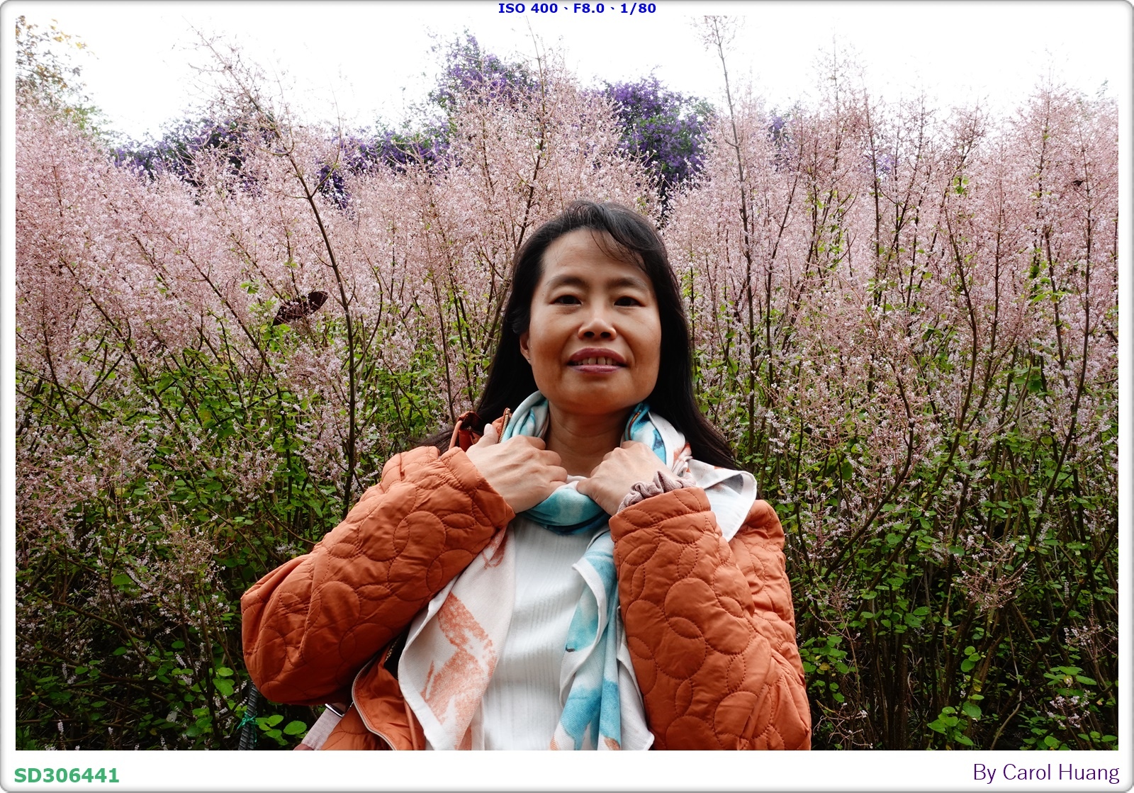 【旅拍】250318-RX100M5A「南投中寮～粉紅山丘麝