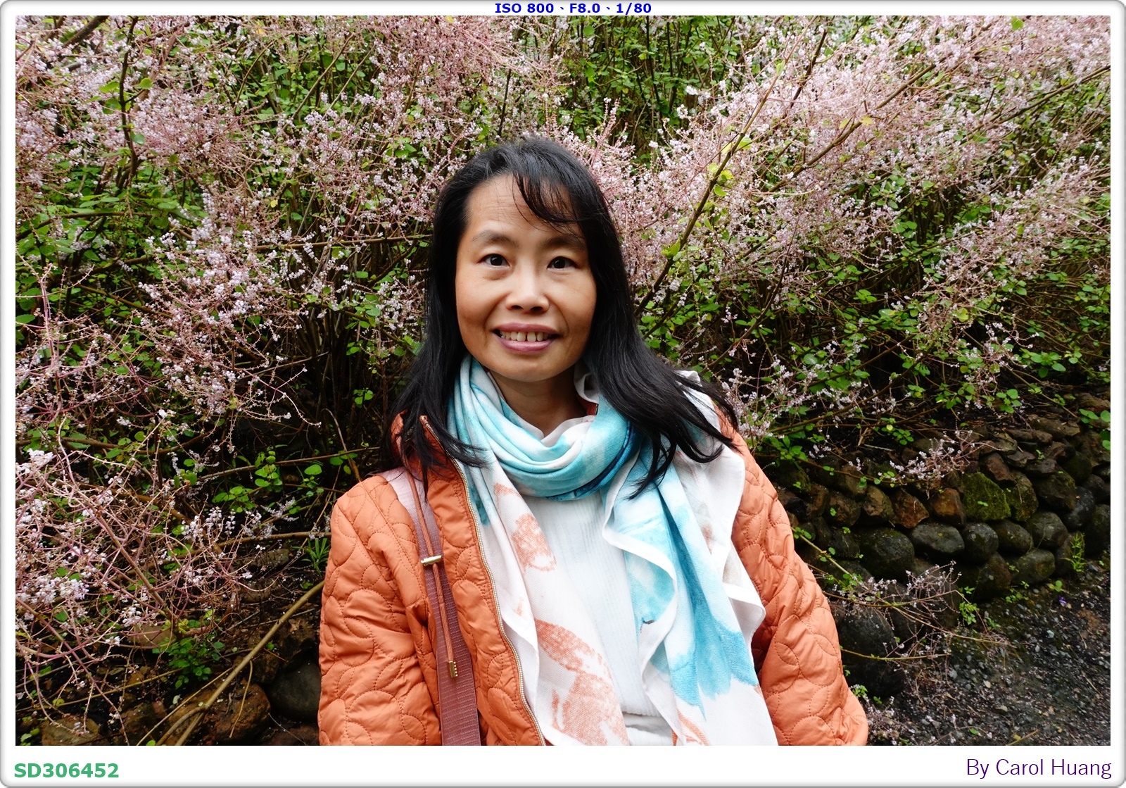 【旅拍】250318-RX100M5A「南投中寮～粉紅山丘麝
