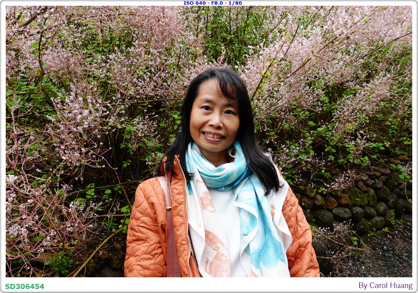 【旅拍】250318-RX100M5A「南投中寮～粉紅山丘麝