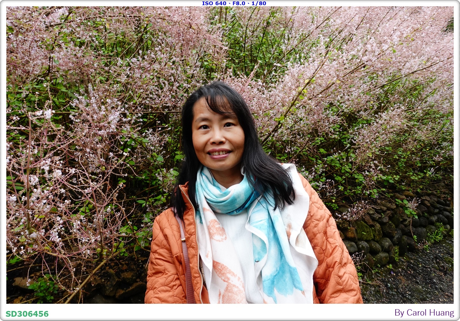 【旅拍】250318-RX100M5A「南投中寮～粉紅山丘麝
