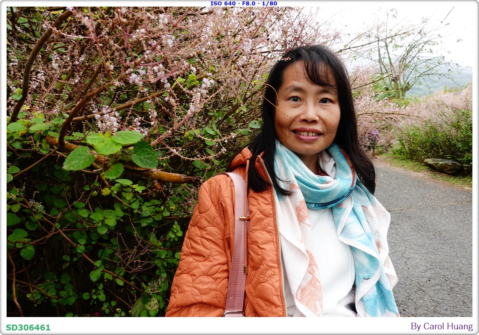 【旅拍】250318-RX100M5A「南投中寮～粉紅山丘麝