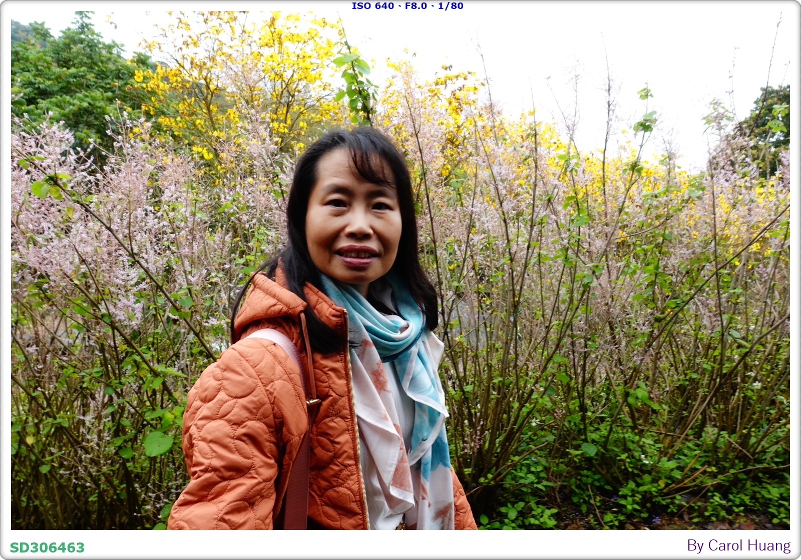 【旅拍】250318-RX100M5A「南投中寮～粉紅山丘麝