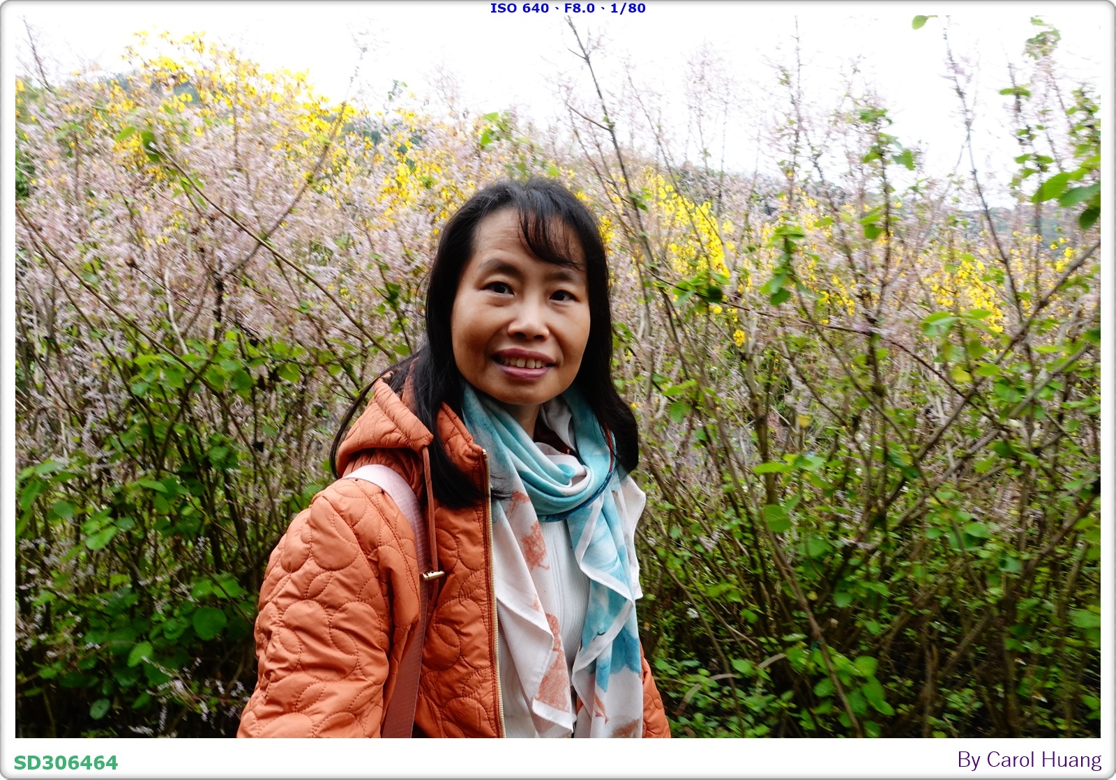 【旅拍】250318-RX100M5A「南投中寮～粉紅山丘麝