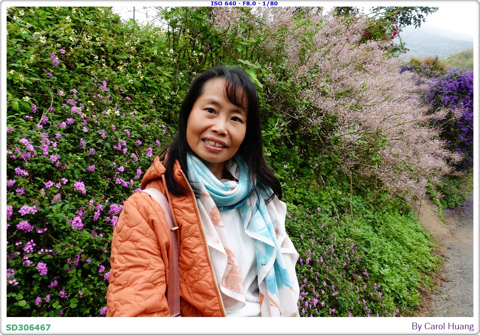 【旅拍】250318-RX100M5A「南投中寮～粉紅山丘麝