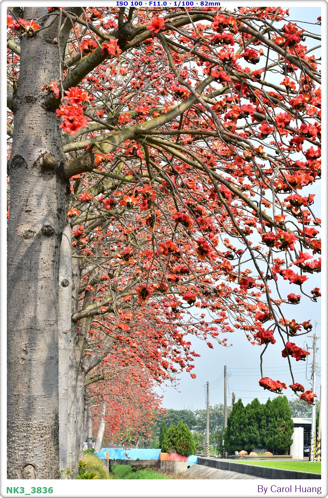 【旅拍】250403-D5600+70-300+ZR3600