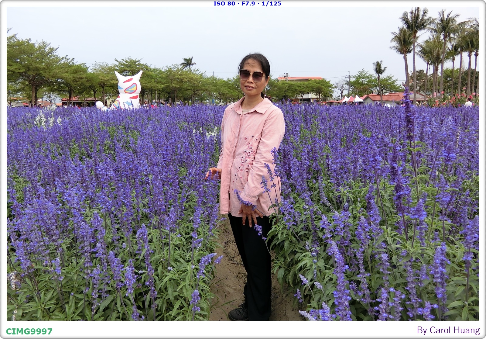 【旅拍】250406-D5600+60/F2.8 MICRO