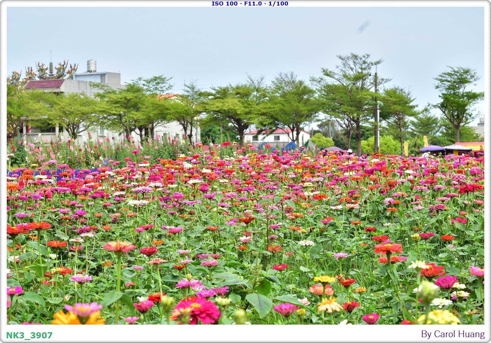 【旅拍】250406-D5600+60/F2.8 MICRO
